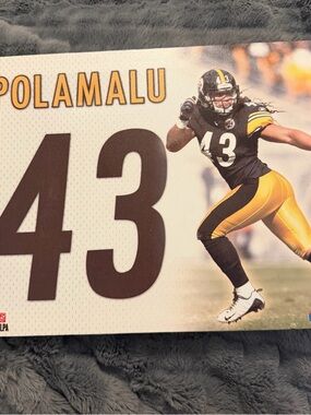 NFL Troy Polamalu Black and Gold Poster canvas